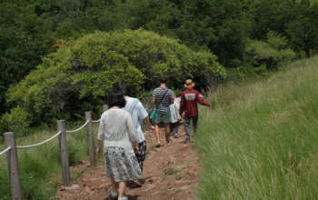 Avoid common mistakes in Komodo tours.